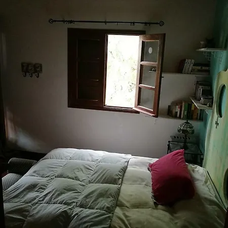 Хостел La Oliva Inn *