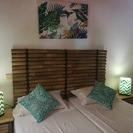 Hostel La Oliva Inn